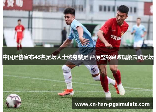 中国足协宣布43名足坛人士终身禁足 严厉整顿腐败现象震动足坛